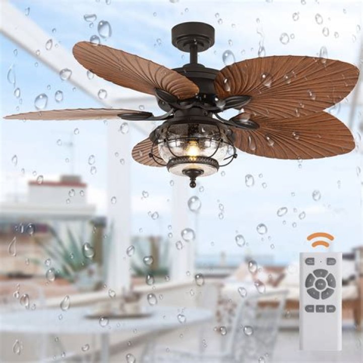 What is the difference between damp rated and wet rated ceiling fans?