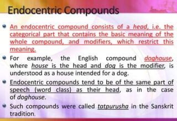 What is the difference between Endocentric and Exocentric compounds?