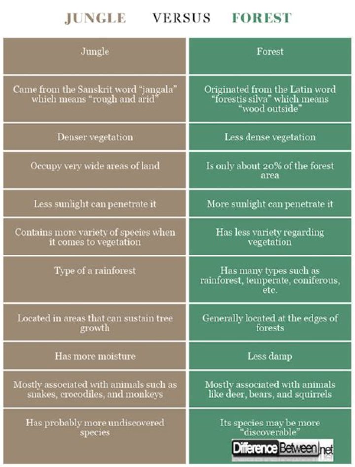 What is the difference between jungle forest and woods?