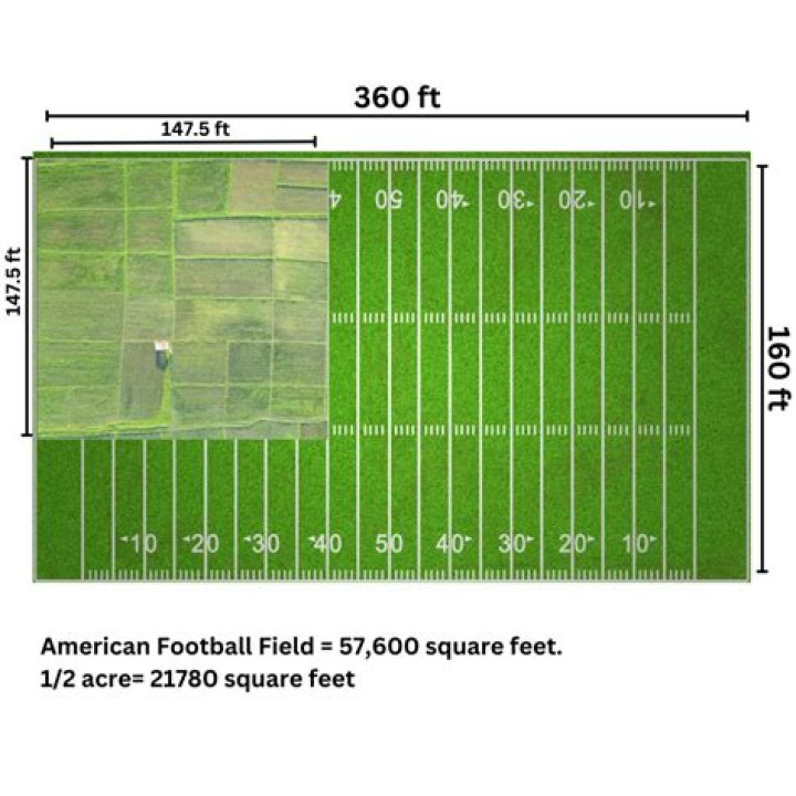 What is the geometric shape of a football field?