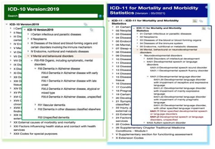 What is the ICD 10 code for dyslexia?