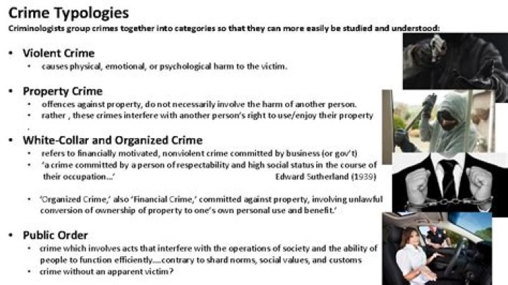 What is the importance of crime typologies?