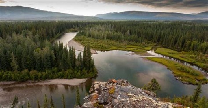 What is the largest biome on Earth?