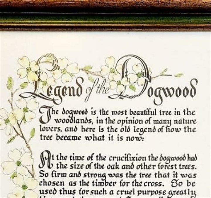 What is the legend of the dogwood tree?
