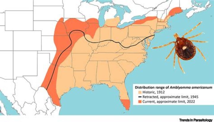 What is the Lone Star Rally?