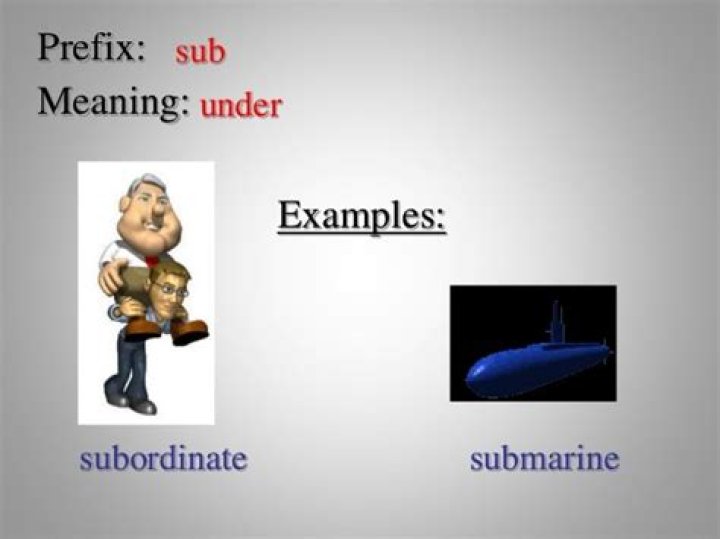 What is the meaning of the prefix sub in submarine?