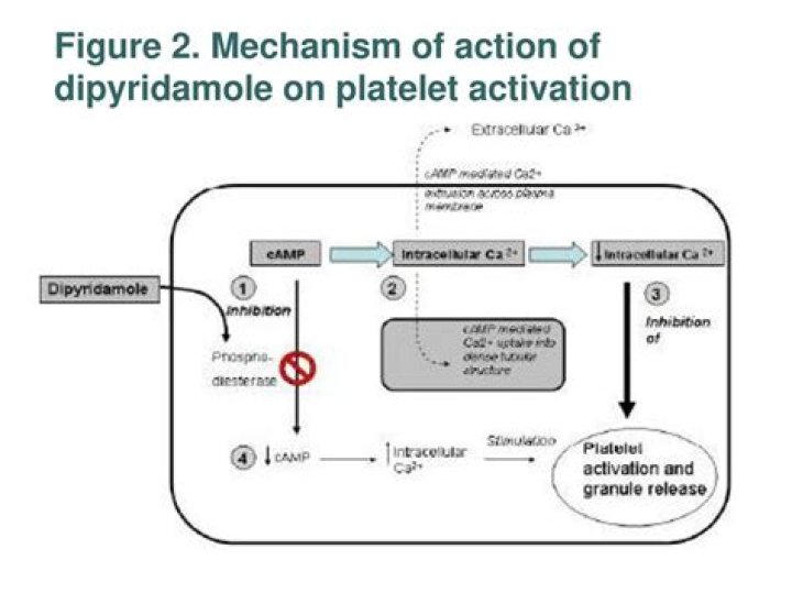 What is the mechanism of action of dipyridamole?