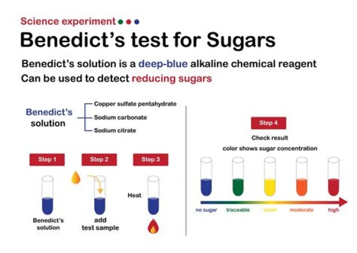 What is the name of the reagent used to test for sugar?