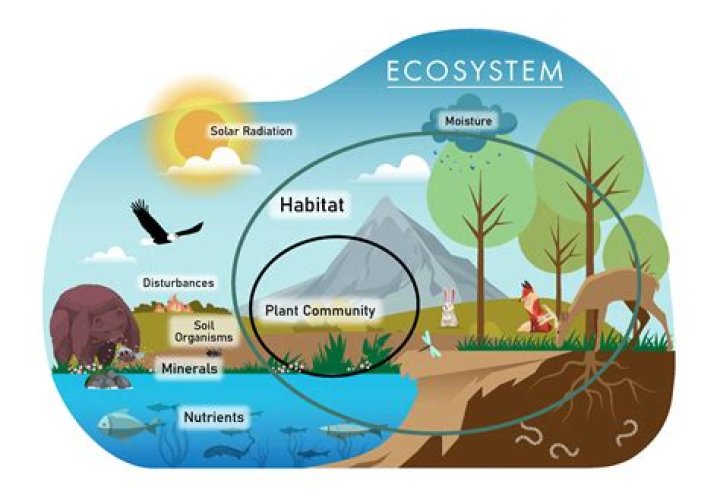 What is the number of species living within an ecosystem?