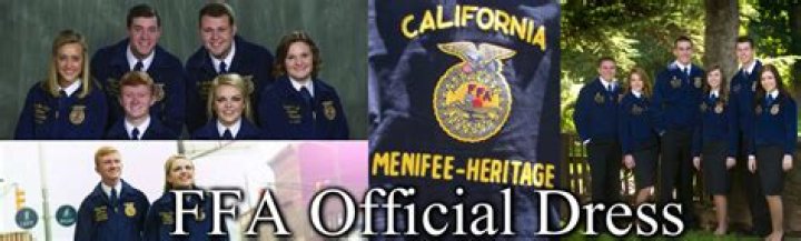 What is the official dress for a male FFA member?