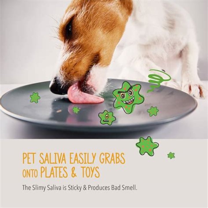 What is the pink slime in my dog’s water bowl?