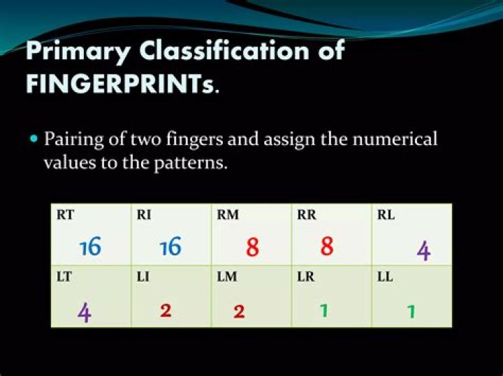 What is the primary classification of fingerprints?