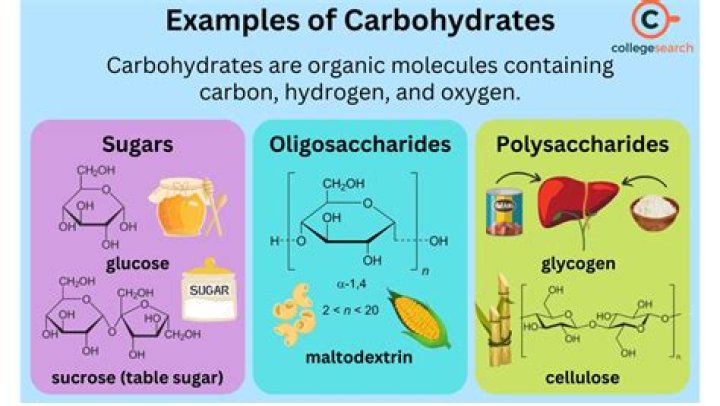 What is the ratio of carbon hydrogen and oxygen in carbohydrates?