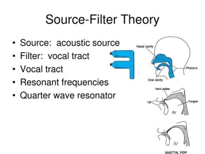 What is the source filter theory of vowel production?