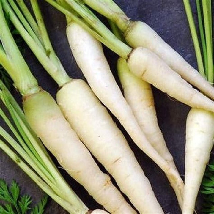 What is the vegetable that looks like a white carrot?