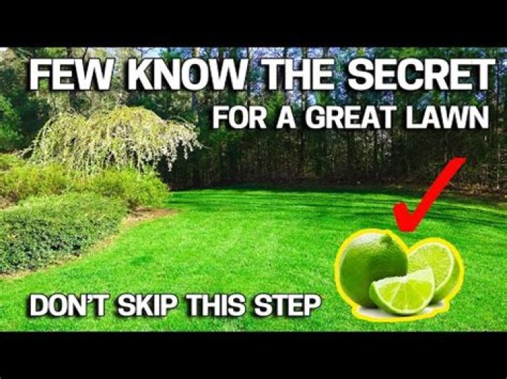 What is the white powder put on grass?