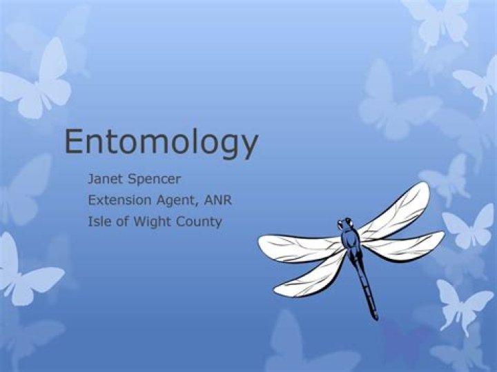 What island does Lord of the Flies take place on?