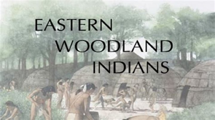 What kind of homes did the Eastern woodlands lived in?