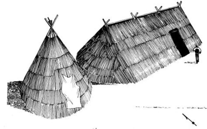 What kind of houses did the Nez Perce live in?