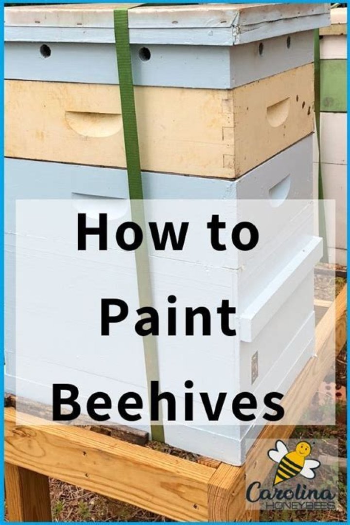 What kind of paint is safe for beehives?