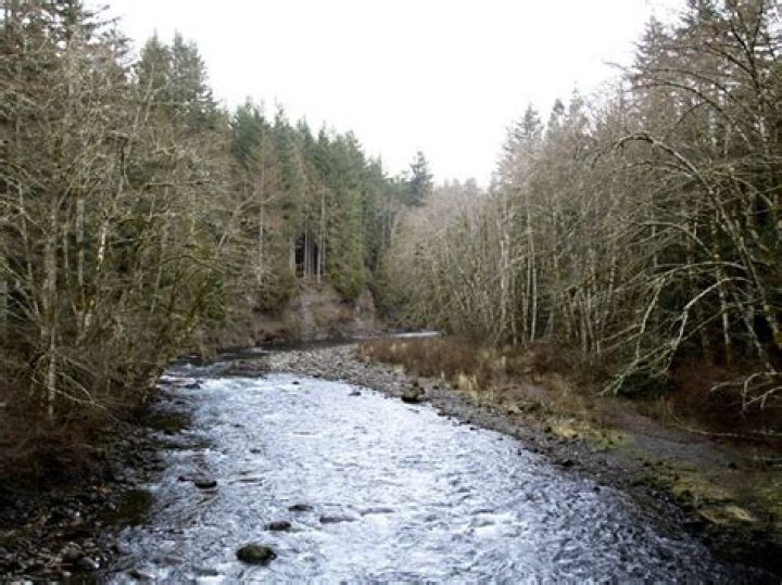 What mountains can you see in Portland?