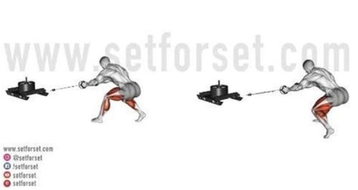 What muscles do sled pushes work?