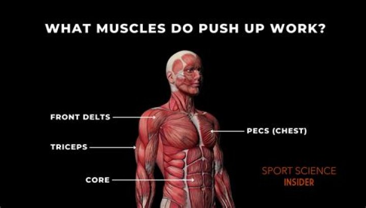 What muscles do you use to push during labor?