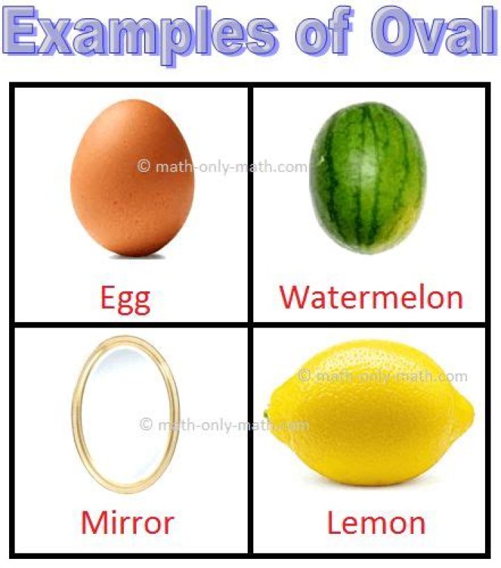 What objects are oval shaped?