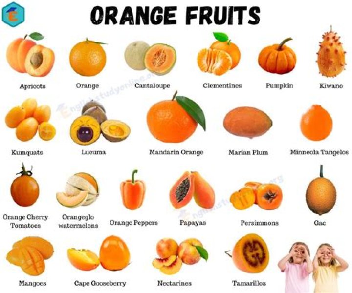 What P is a large round orange fruit?