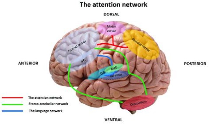 What part of the brain controls alertness and arousal?