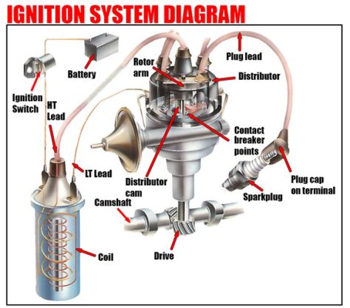What part of the ignition system amplifies the electrical voltage?