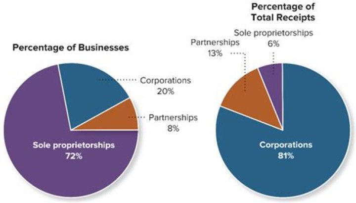 What percentage of businesses in the US are sole proprietorships?