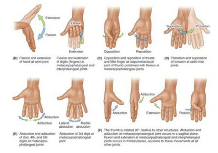 What plane is Thumb abduction?