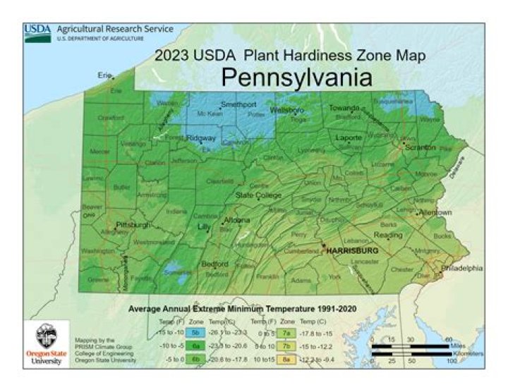 What planting zone is Bucks County PA?
