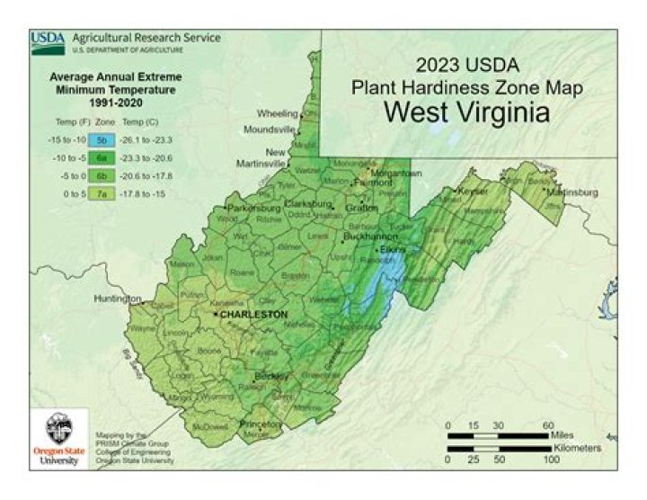 What planting zone is Martinsburg WV?