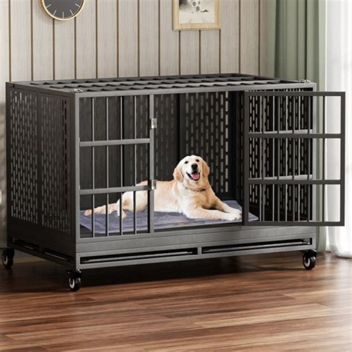 What size is an extra large dog crate?