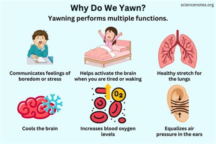 What to Do If You Yawn While Praying