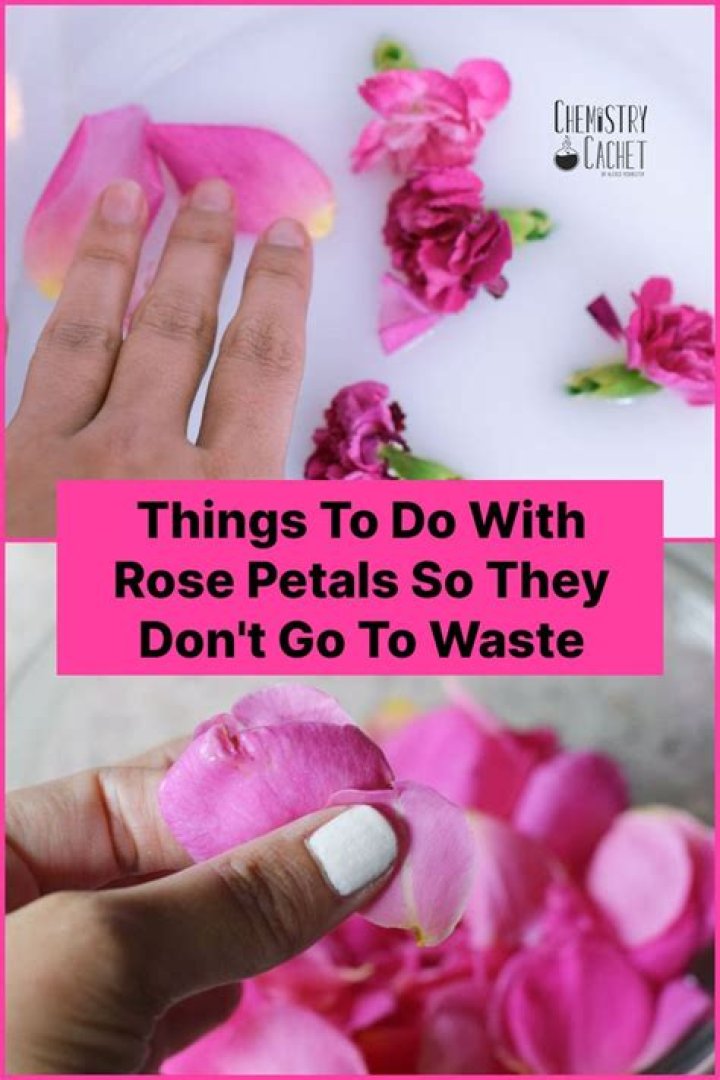 What to do with rose petals after they died?