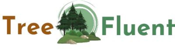 What tree replaced the sycamore at ground zero?