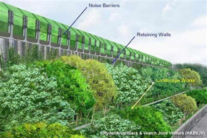 What trees make the best sound barriers?