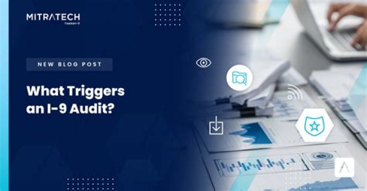 What triggers an I 9 audit?