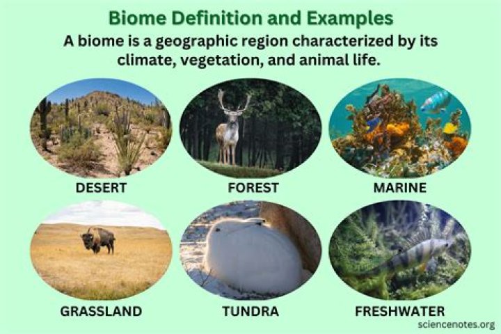 What type of biome do we live in?