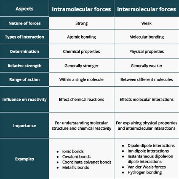 What types of intermolecular forces are present in pentane?