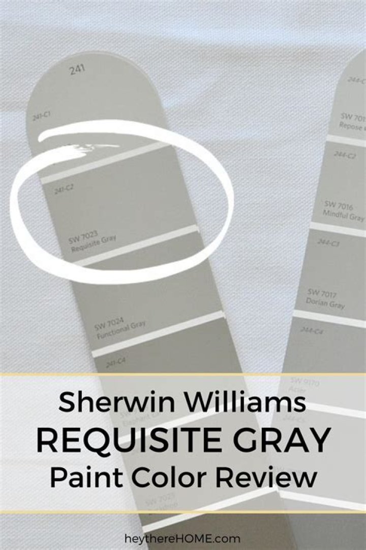 What undertones does requisite Gray have?