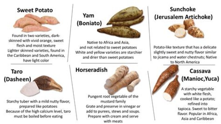 What vegetable looks like a potato?