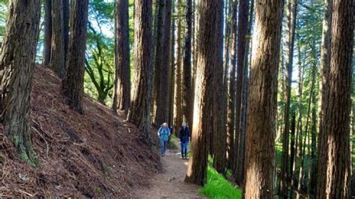 What was filmed in Muir Woods?