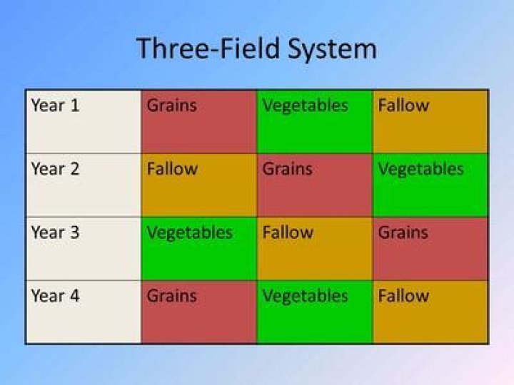 What was the result of the three field system?