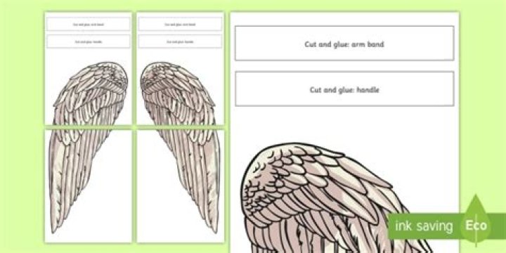 What were Daedalus wings made of?