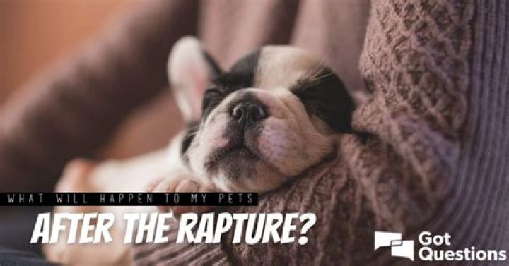 What will happen to my pets after the rapture?