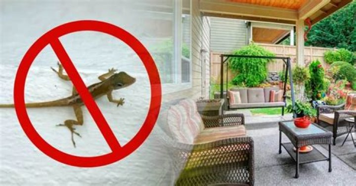 What will keep lizards away from porch?